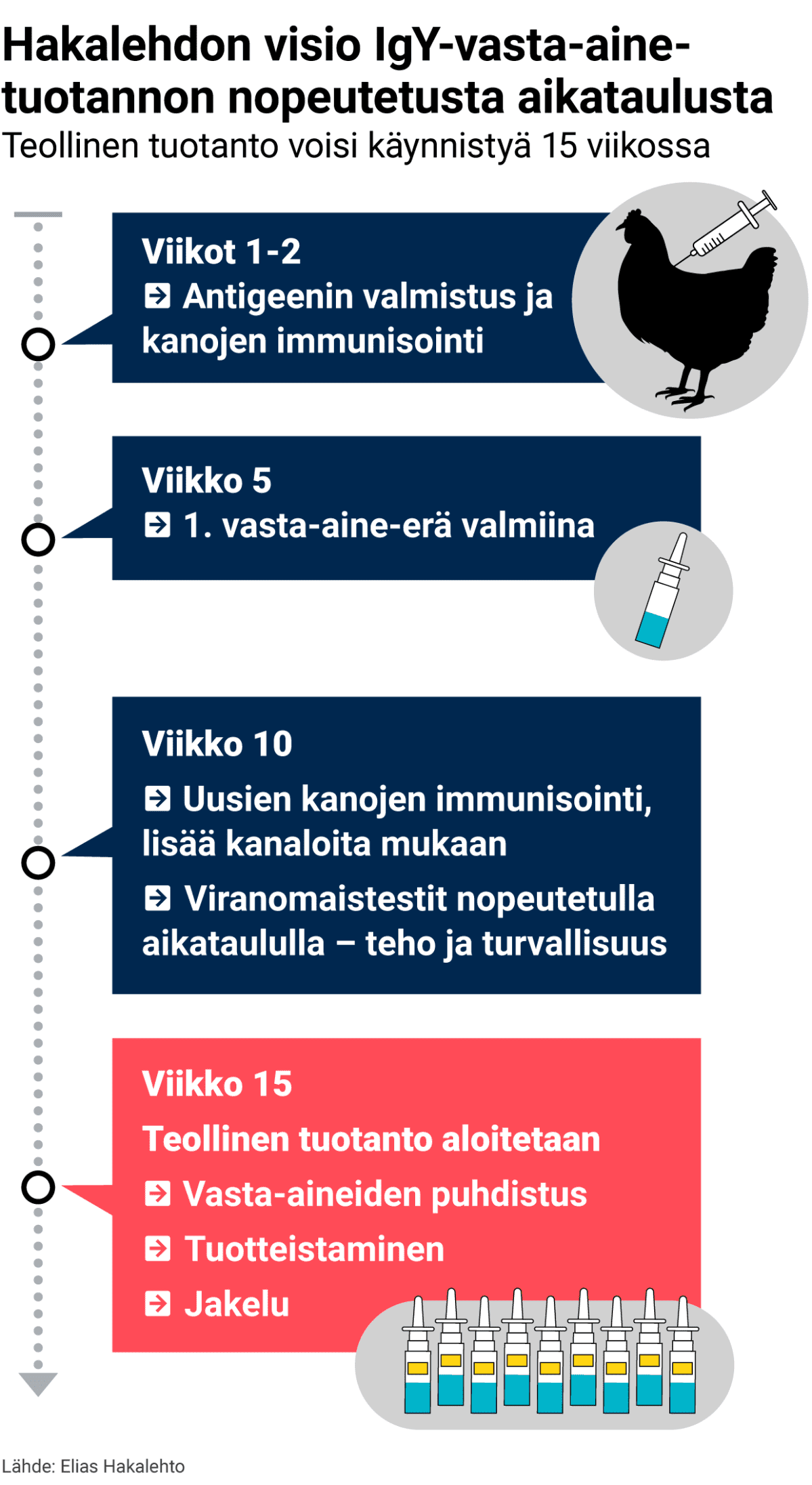 Grafiikka Elias Hakalehdon hahmottelemasta aikataulusta, jonka mukaisesti vasta-aine-kananmunien teollinen tuotanto voisi käynnistyä 15 viikossa.