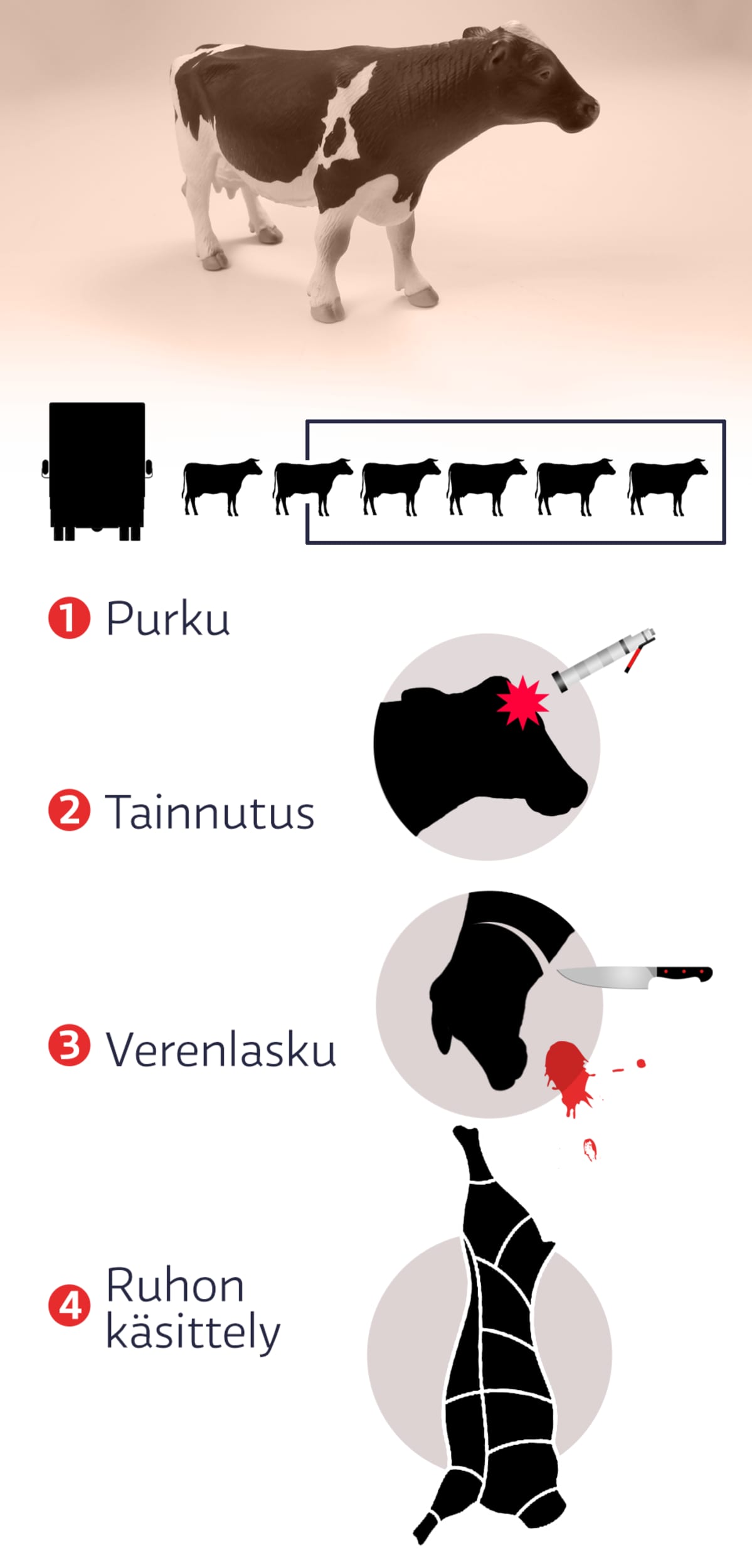 grafiikka