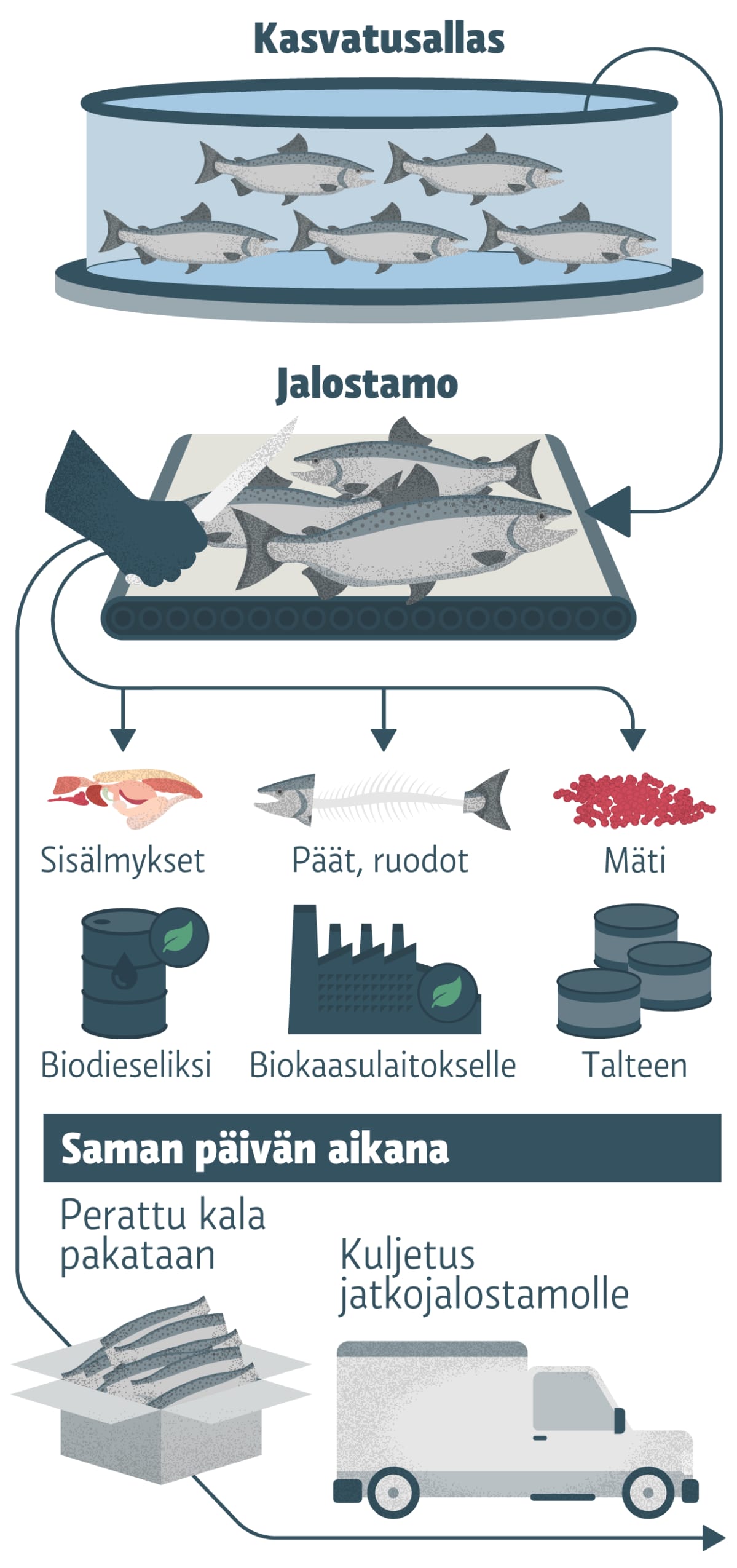 Infografiikka