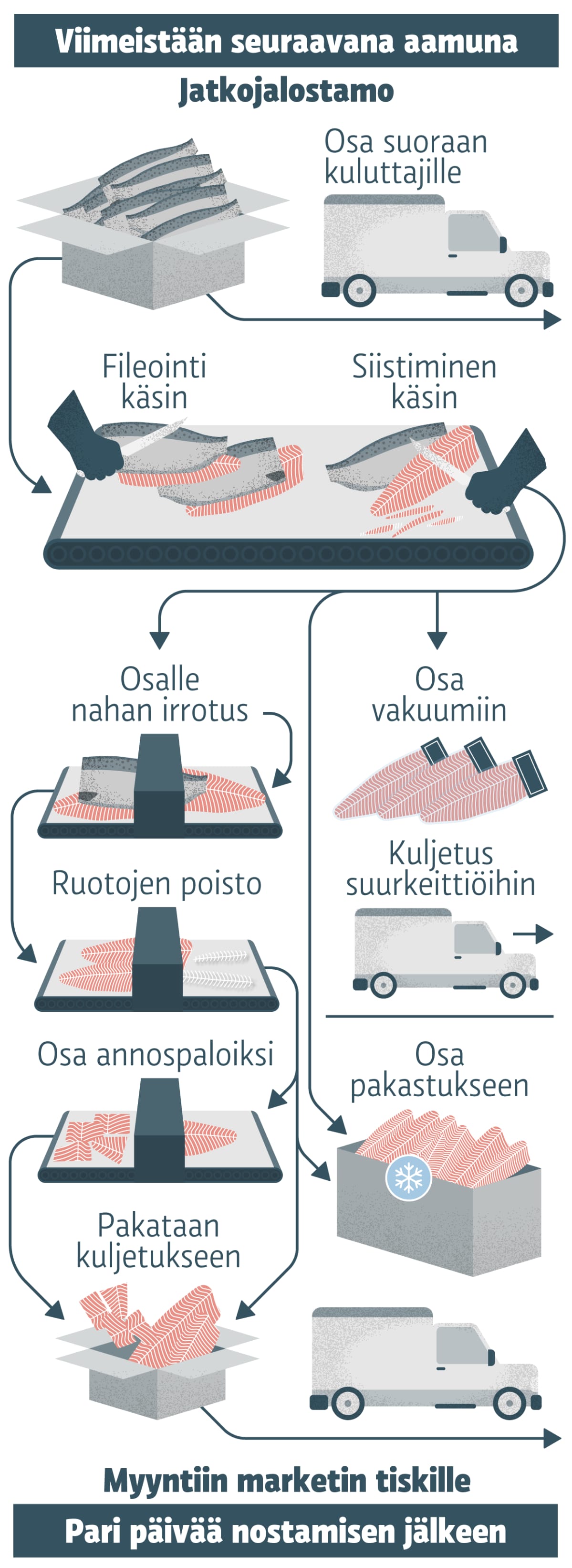 Infografiikka