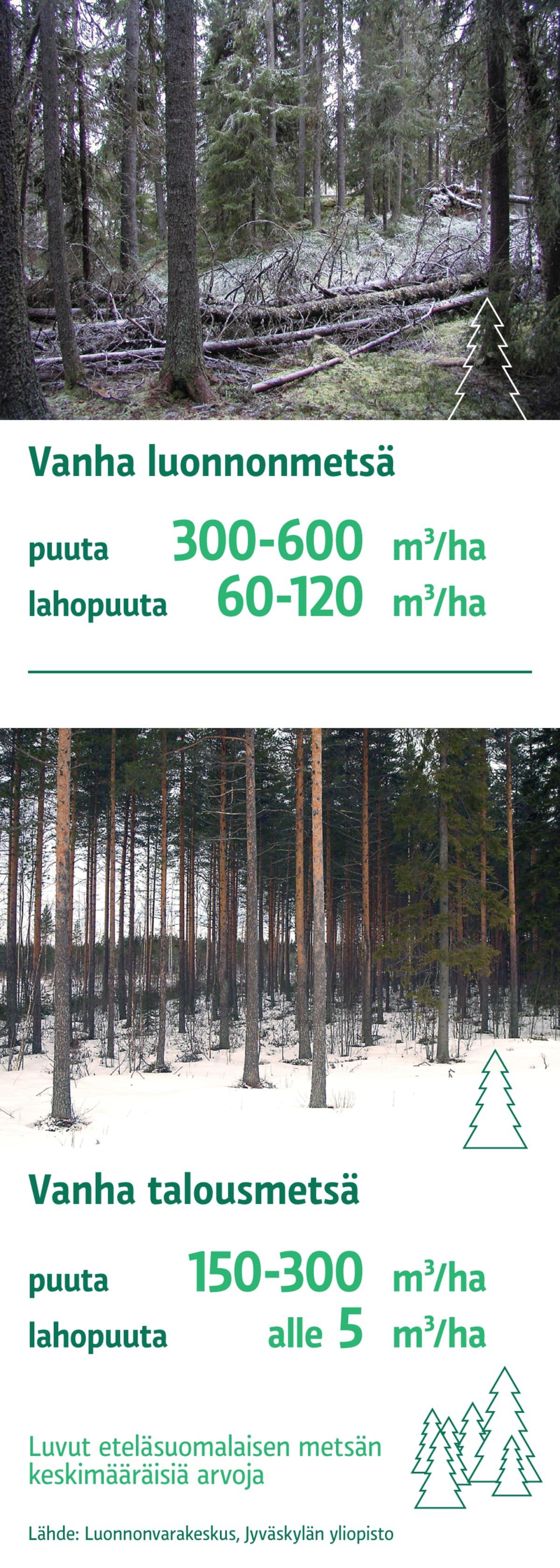 Infografiikka