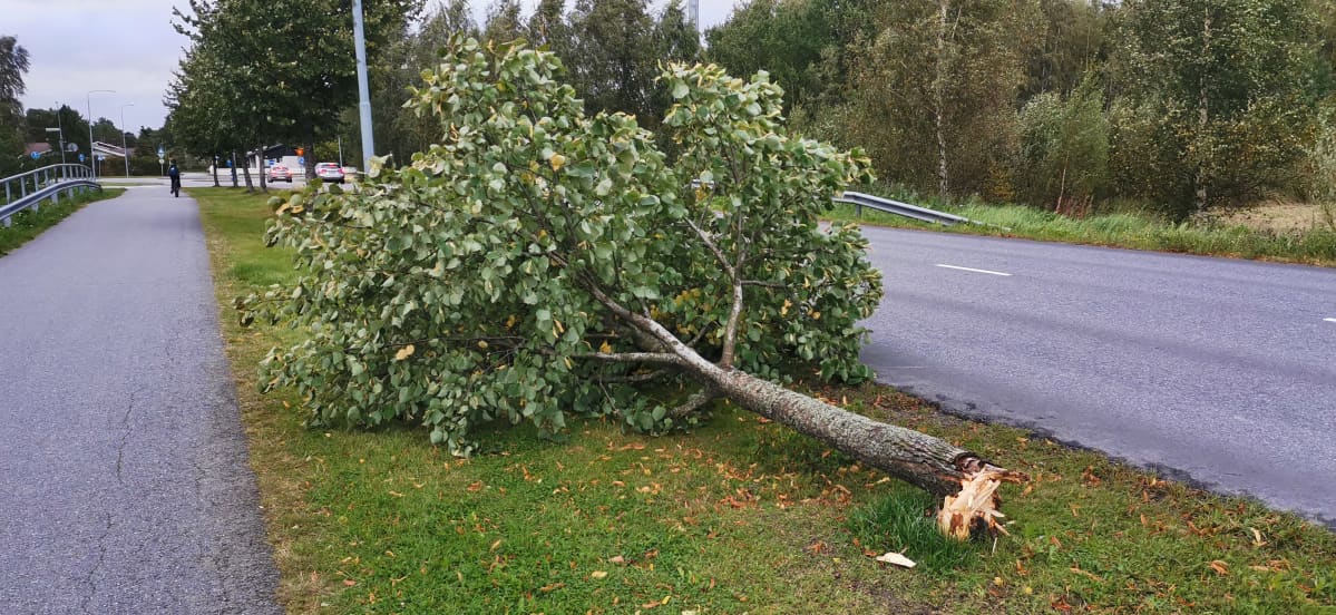 Myrskytuhoja Porissa
