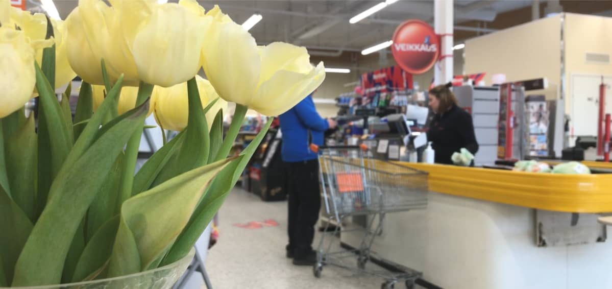 Kaupan kassa ja tulppaaneita