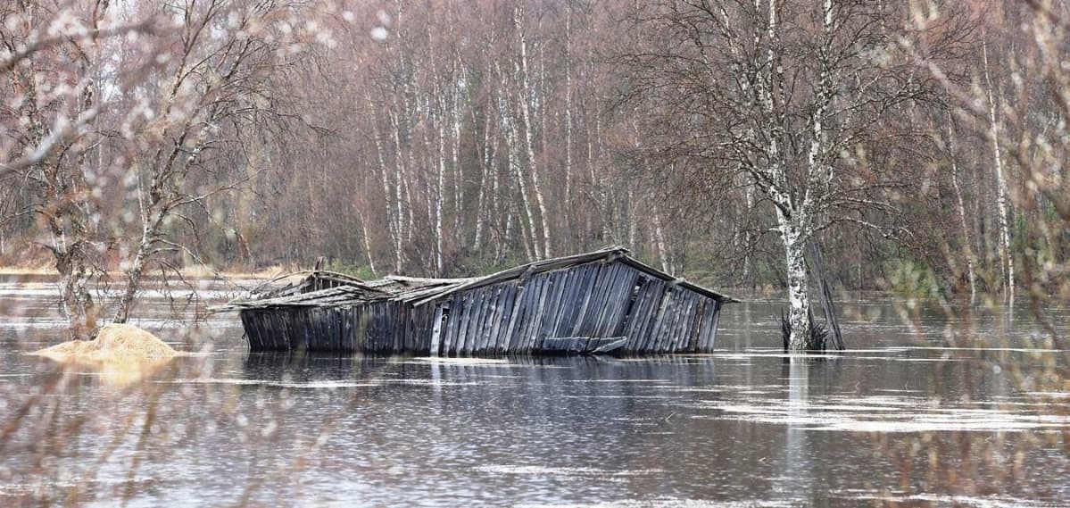 Ivalojoki tulvii 12.5.2018
