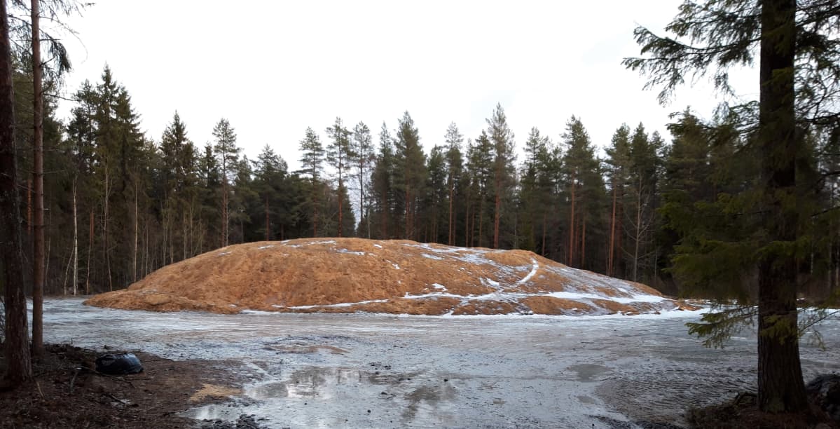 Kokkolan Santahaassa säilölunta kasassa.