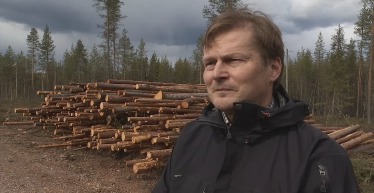 Länsi-Rajan metsänhoitoyhdistyksen toiminnanjohtaja Veijo Ekonoja.