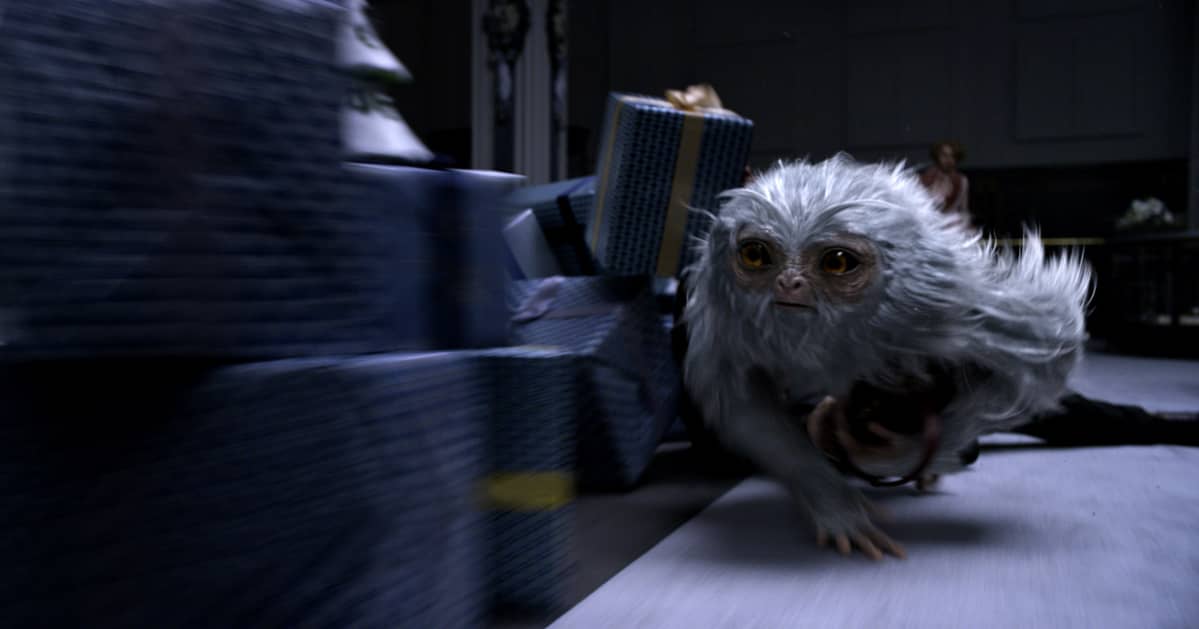 Otus nimeltään Demiguise. Elokuvasta Otukset ja niiden olinpaikat.