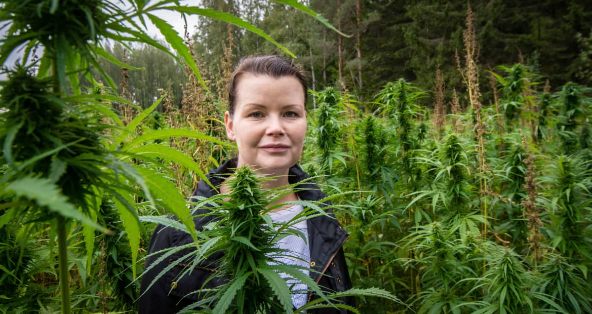 Anna Toikkanen keskellä hamppupeltoa.
