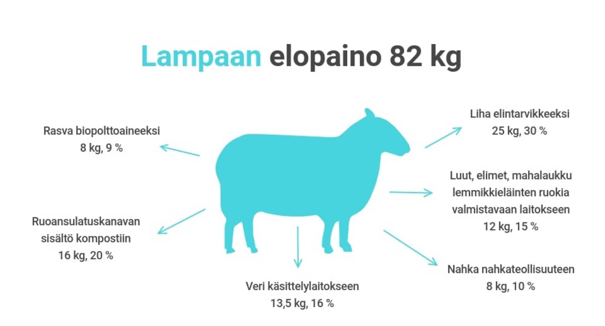 Lampaan sivutuotteita.