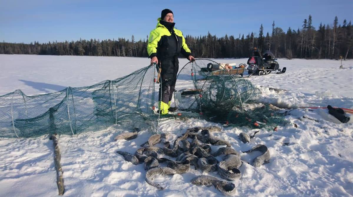 Kalastaja Jouko Sirkkala kokee madepyydyksiä Miekojärvellä