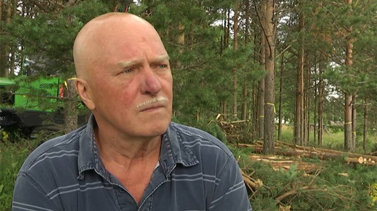 Ahti Kemi