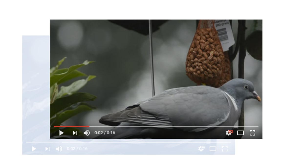 Kuvakaappaus YouTubesta.