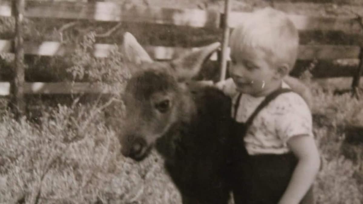Pentti Alatalo lemmikkihirven kanssa 1960-luvun lopulla.