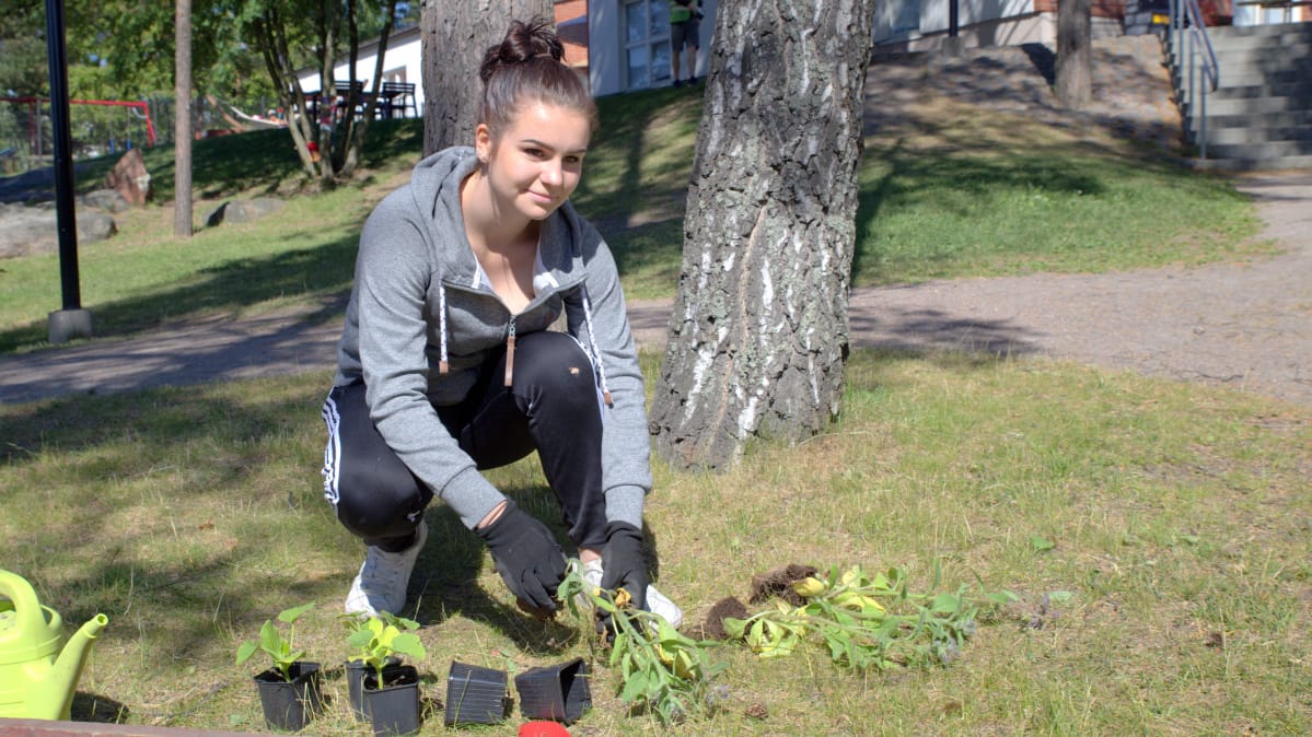 Sthella istuttaa kasveja.