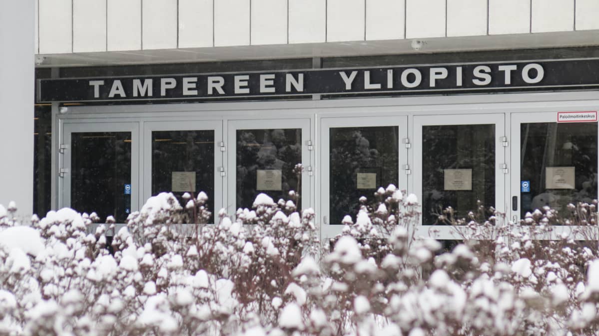 Tampereen yliopisto