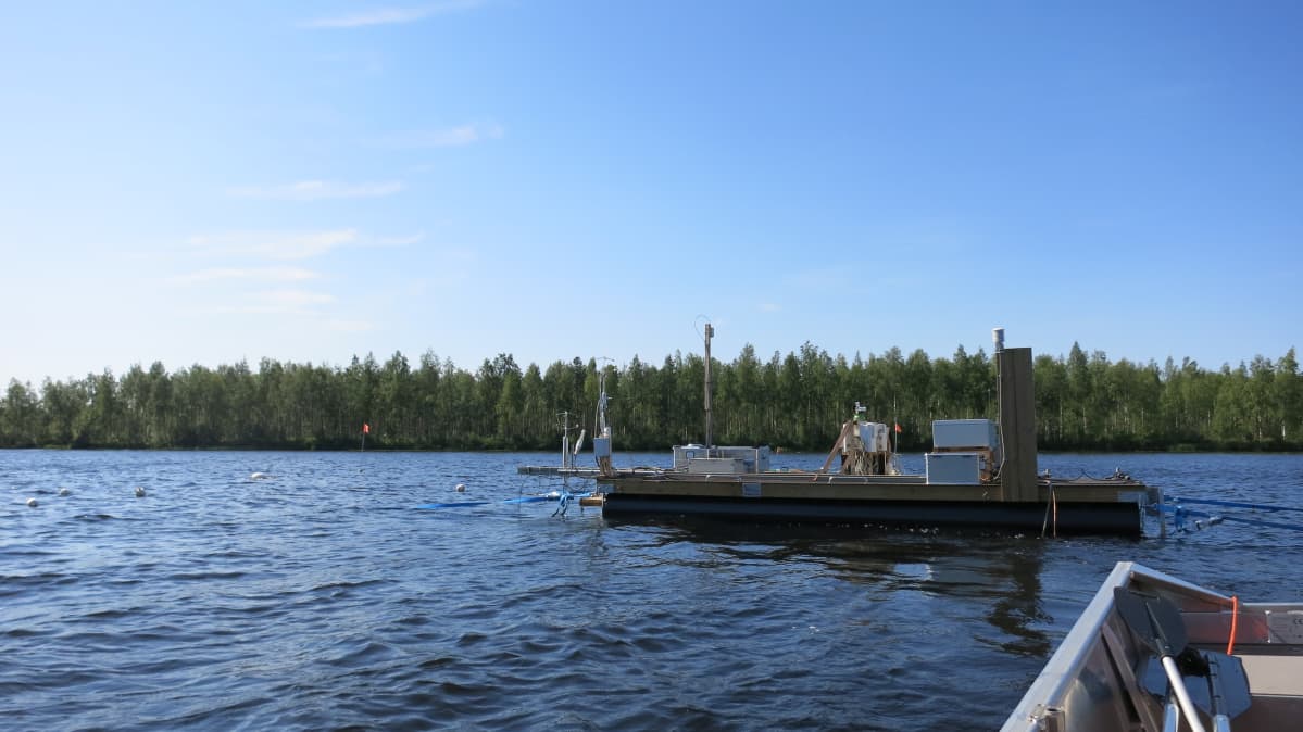 Kitinen tutkimus