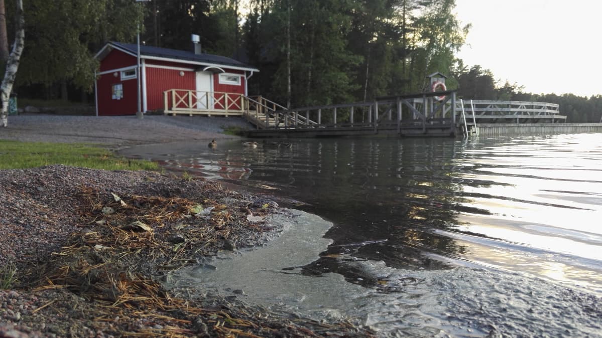 Sinilevää Vähä-Tiilijärven uimarannalla.