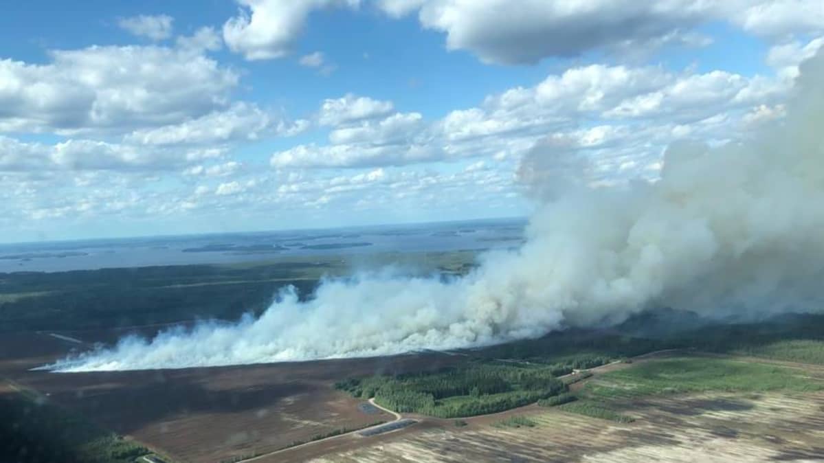 Ilmakuva Suursuon turvetuotantoalueen tulipalosta 10.6.2019