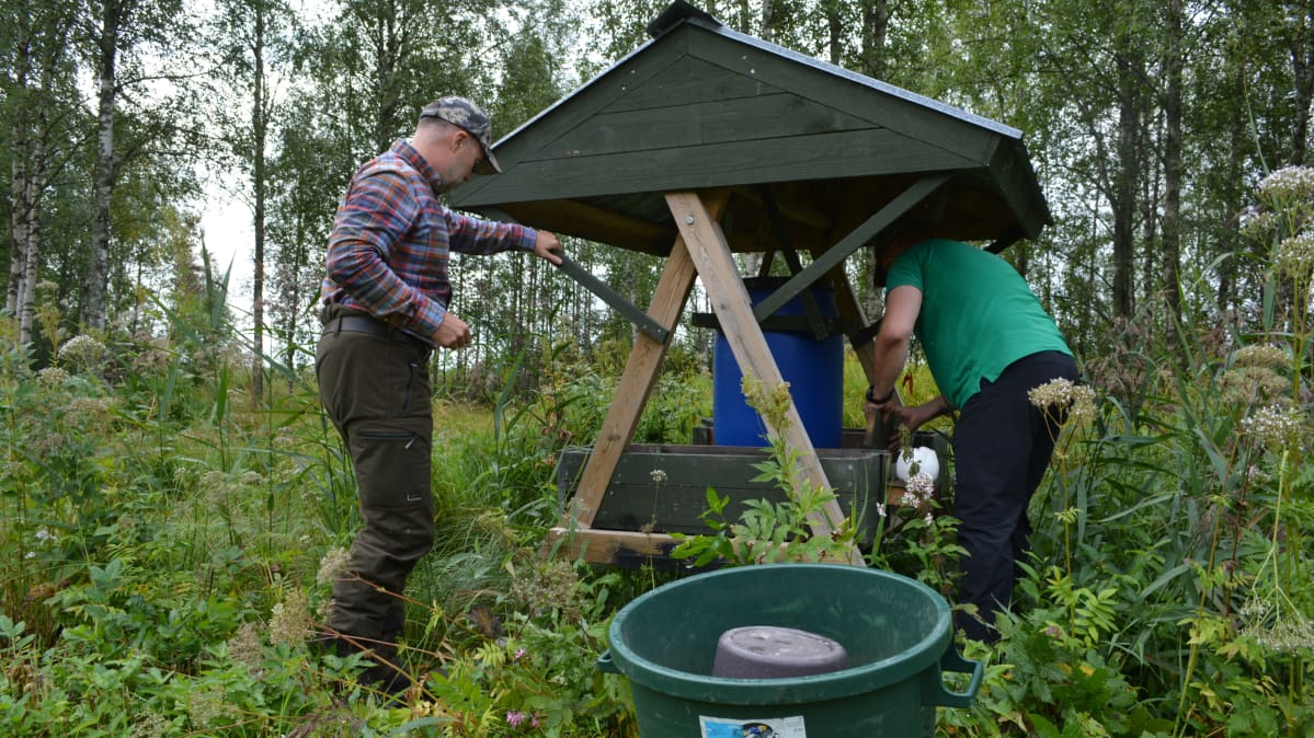 Miehet kunnostavat riistanruokintapaikkaa.