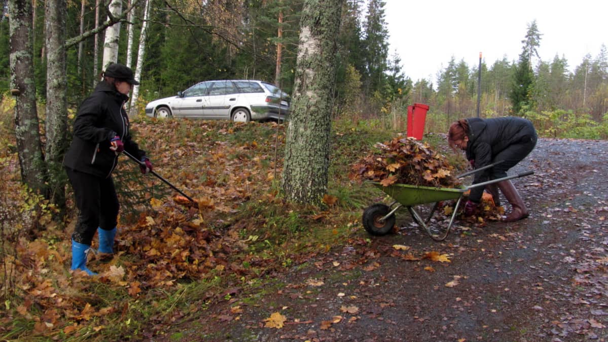 Esedun opiskelijoita haravoimassa lehtiä.
