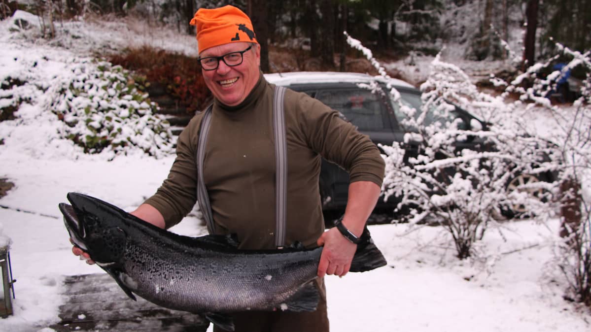 Jokke Pekkola ja jättiläiskala