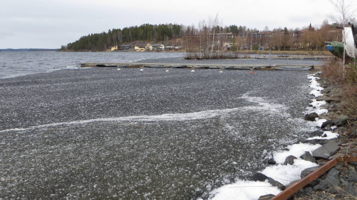 Jäät sulavat Savonlinnan Ilokallionlahdessa.