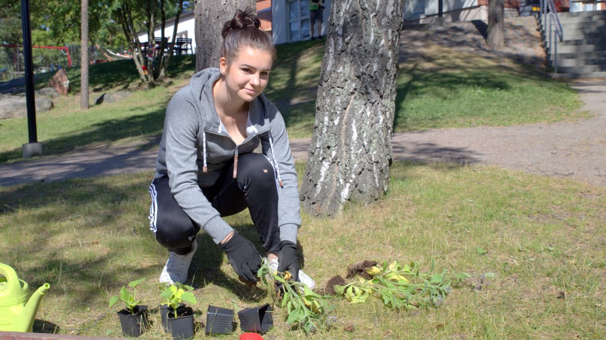 Sthella istuttaa kasveja.