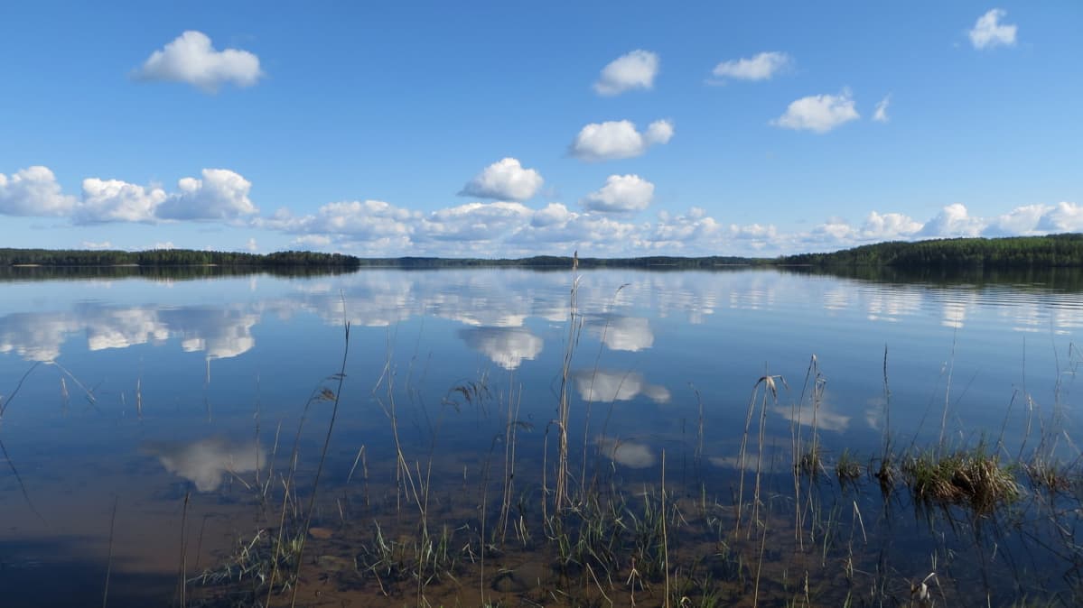 Puruveden maisemaa Punkaharjun länsipäässä.