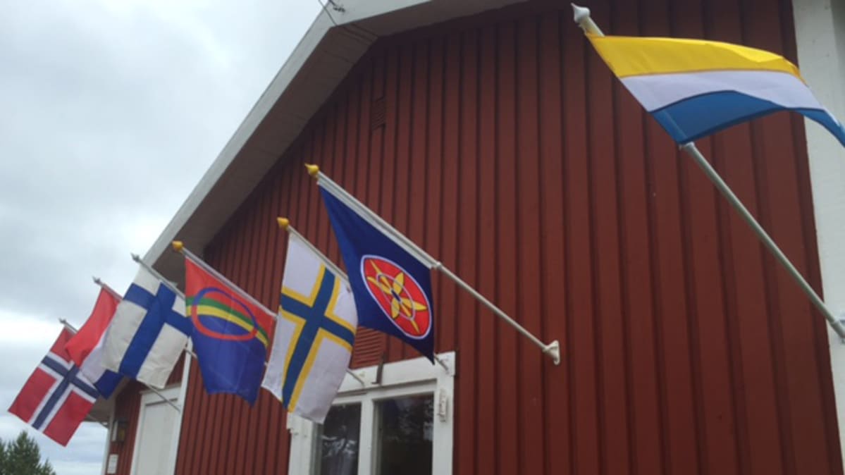 Lippuja.