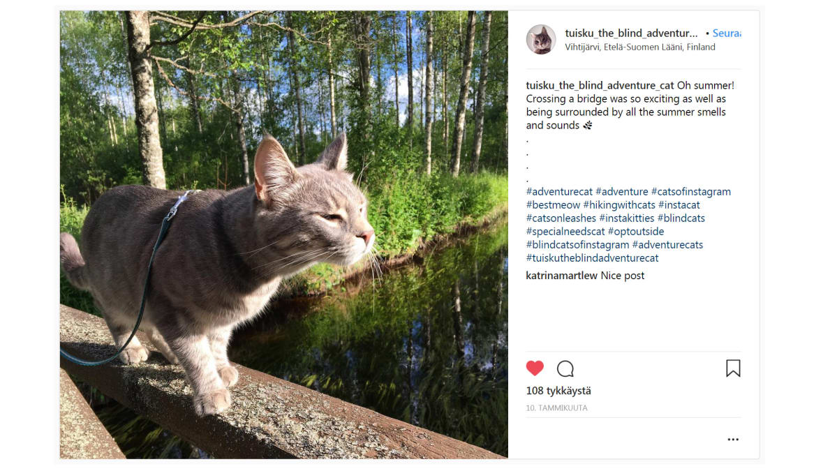 Tuisku Instagram