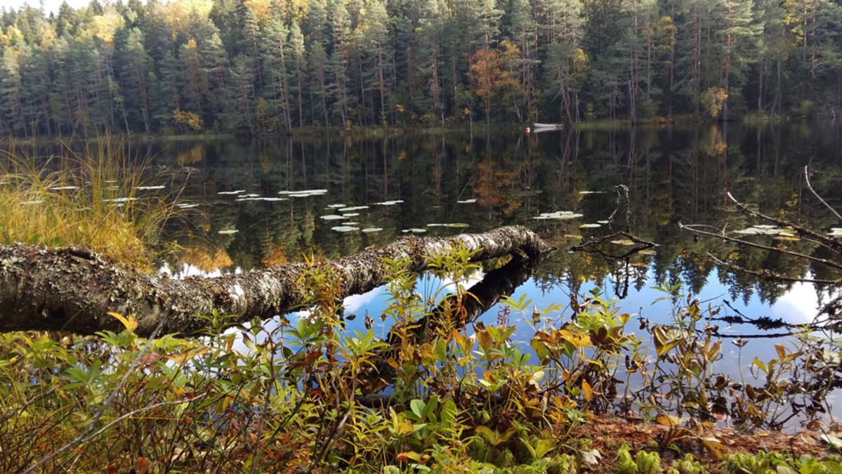 Syksyinen järvimaisema Evolla.