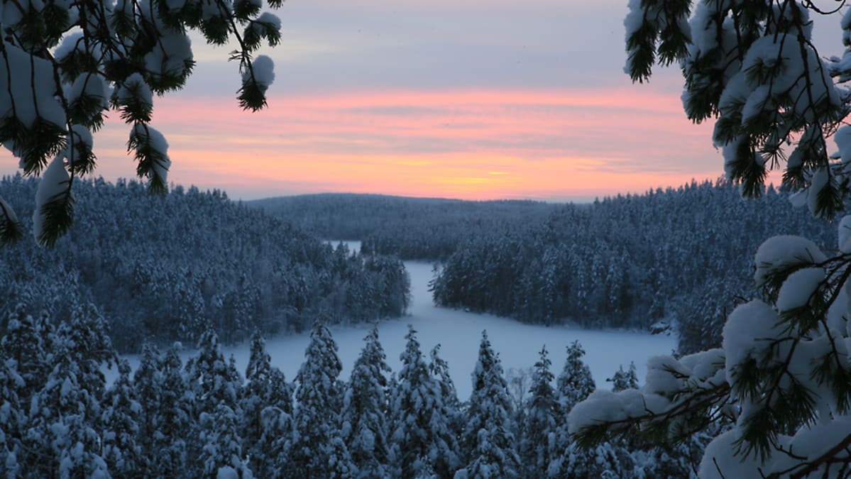 Repoveden kansallispuisto