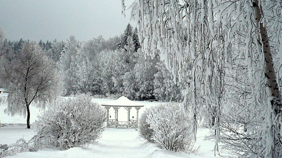 talvimaisema Aulangolta