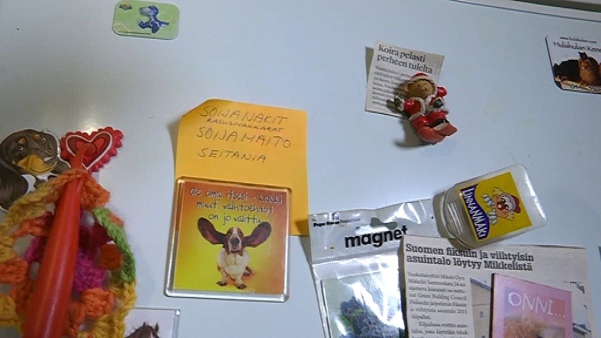 Kasvissyöjän ostoslista jääkaapin ovessa