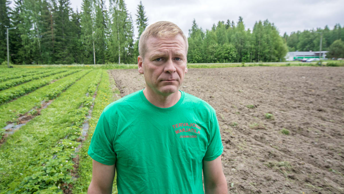 Toni Hämäläinen.
