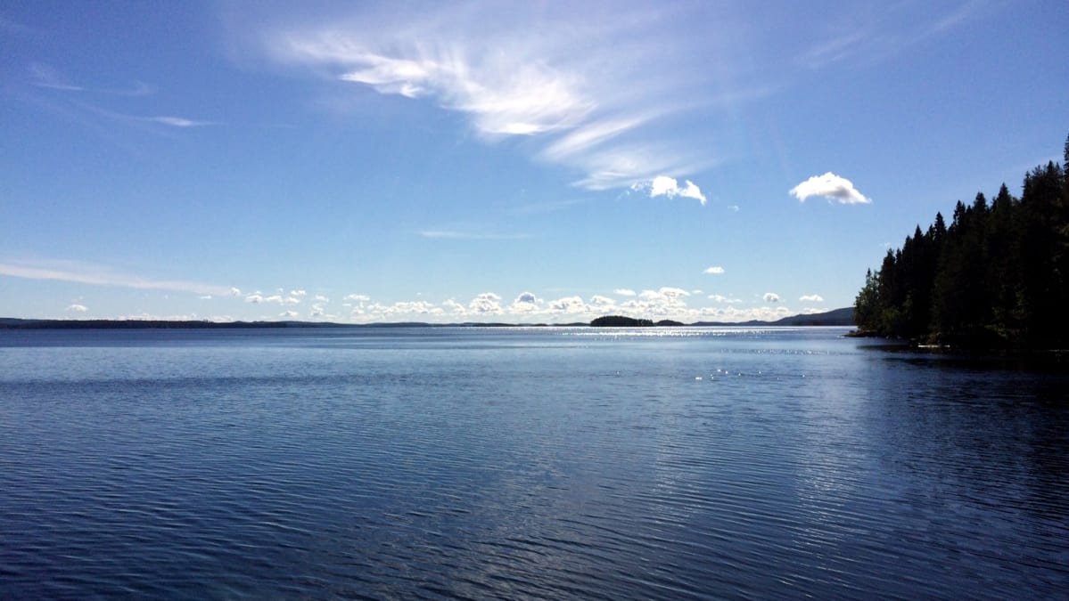 Pielisen pinta kimmeltää aurinkoisena elokuun päivänä.