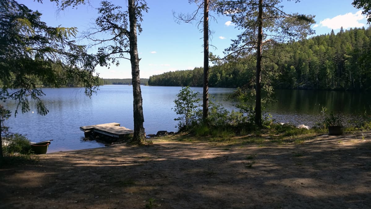 Maisema mökkirannasta järvelle