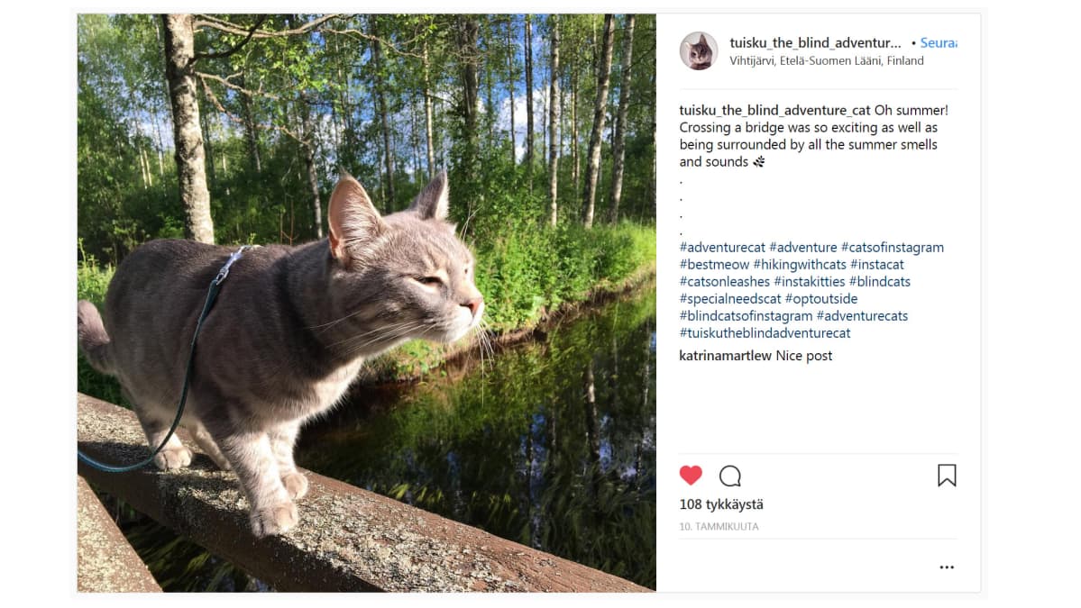 Tuisku Instagram