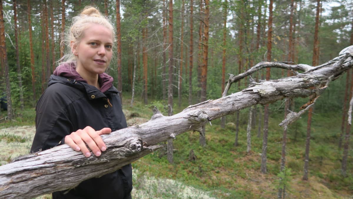 Greenpeacen maajohtaja Sini Harkki