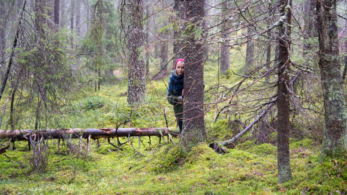 Nainen katsoo puun takaa metsässä.