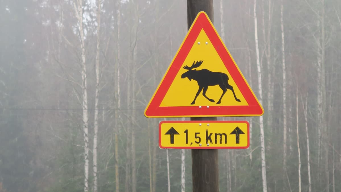 Hirvivaaramerkki