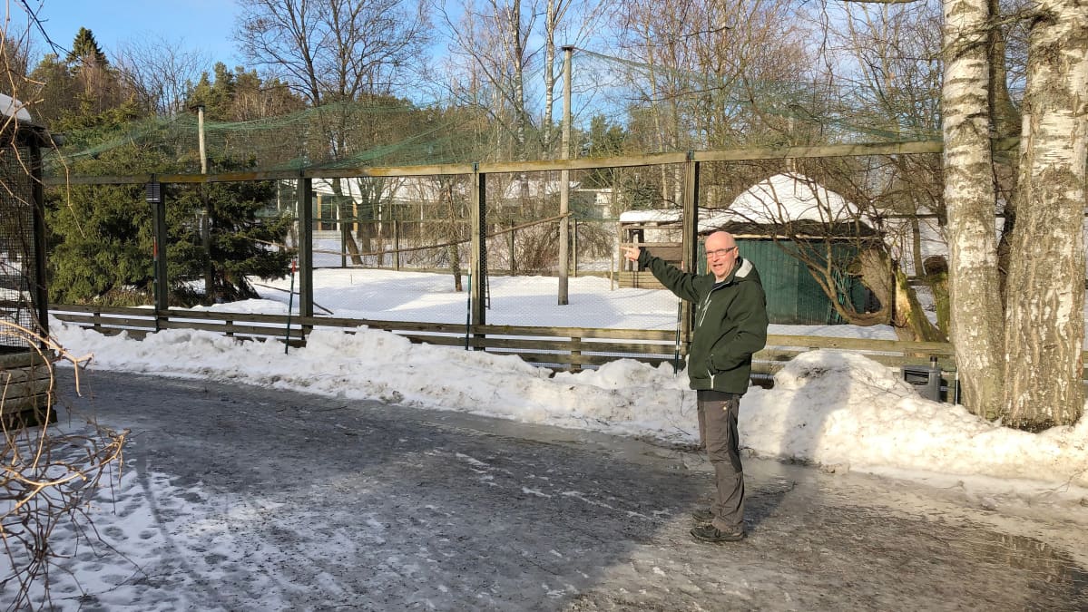 Heinolan uudistettava vesilintuaitaus
