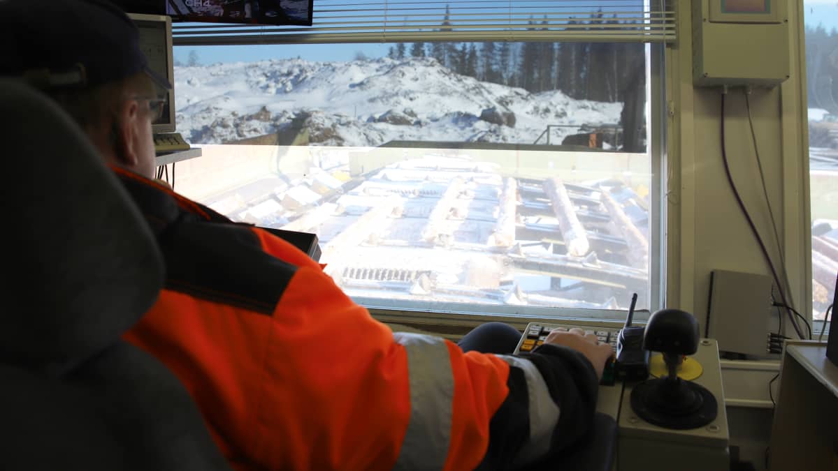Silmämääräistä tukkien laaduttamista Sahakuution sahalla Savonlinnan Kerimäellä