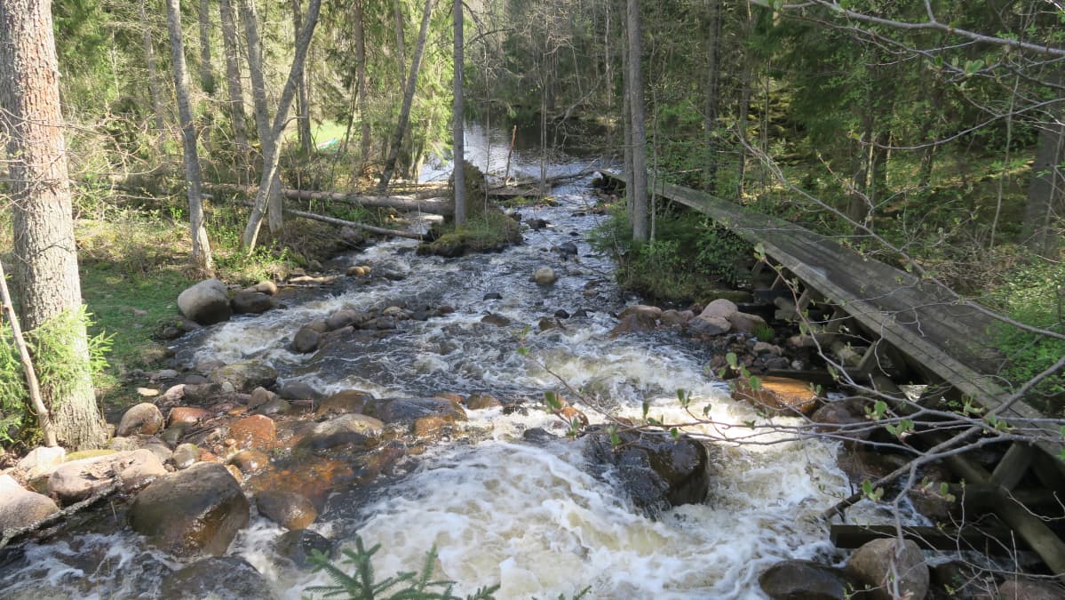 Hiittankoski