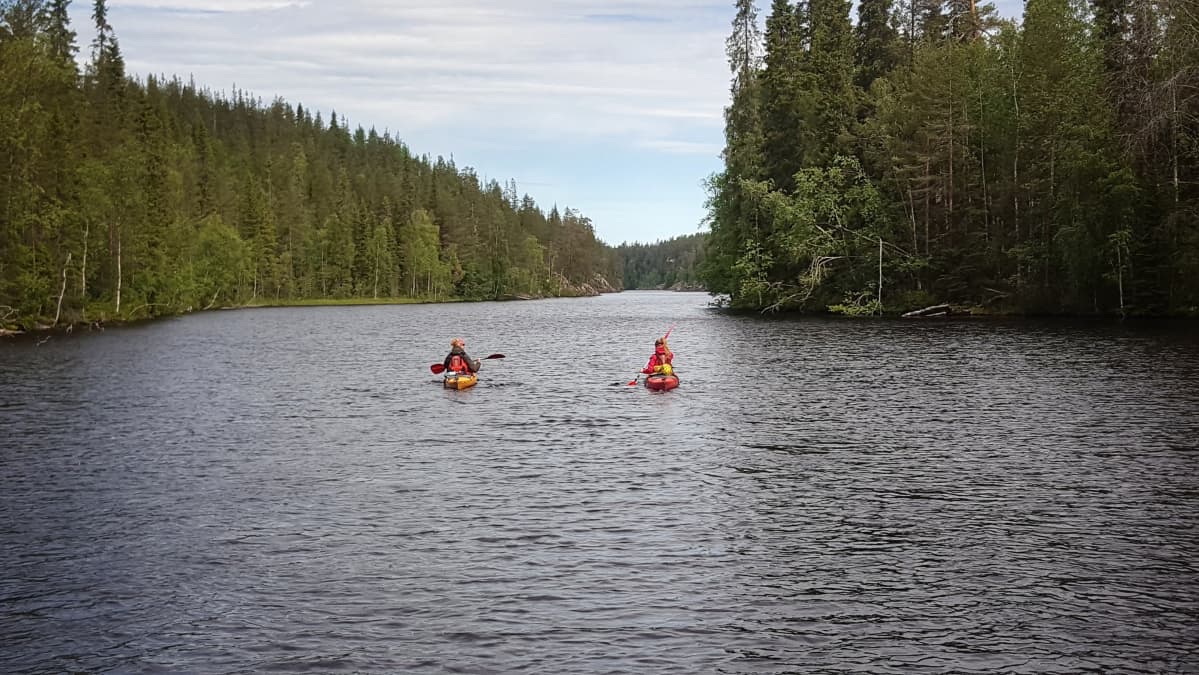 Julma Ölkky Hossan kansallispuistossa.