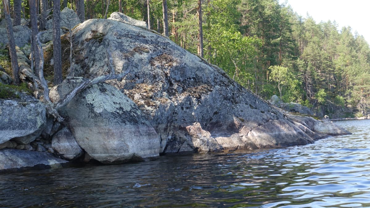 Koloveden kansallispuisto