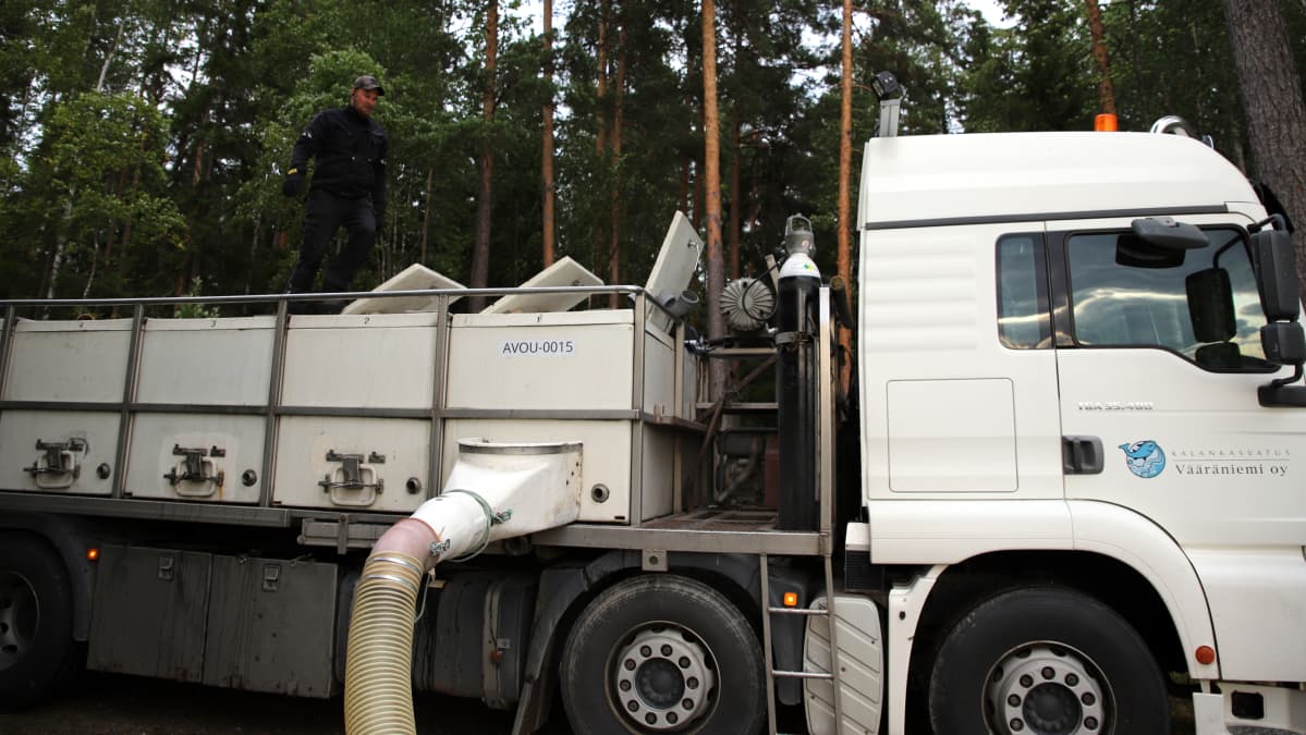 Istutettavien kalojen kuljetuksessa käytettävä säiliöauto.