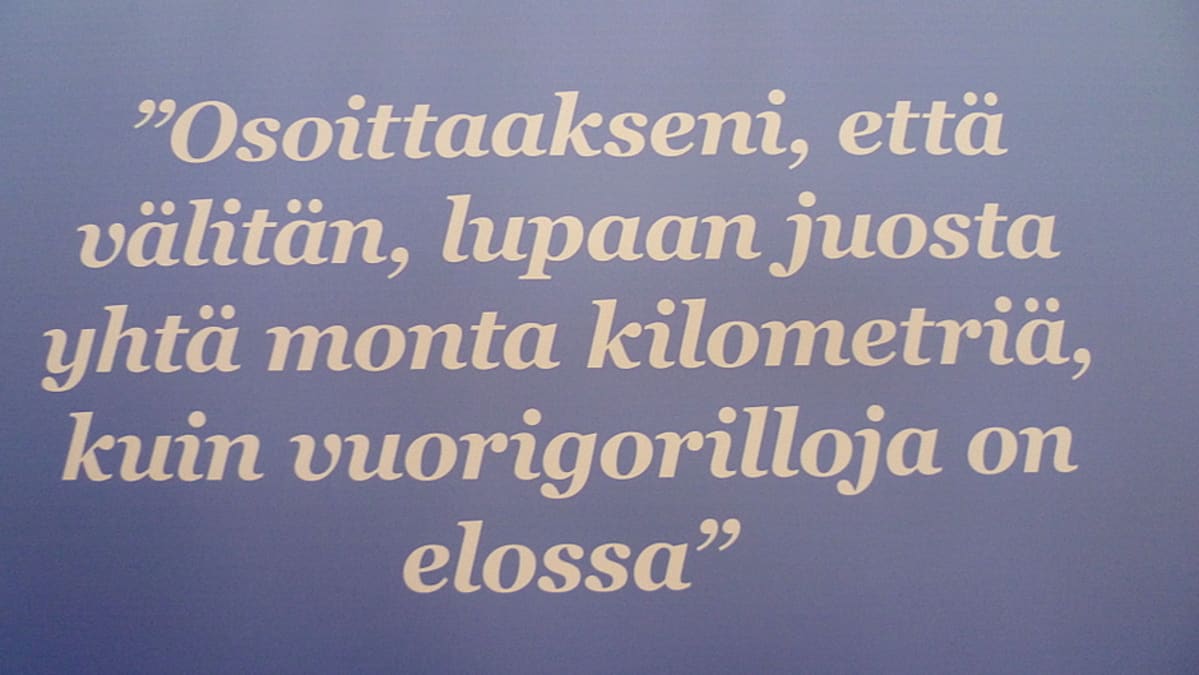 "Osoittaakseni, että välitän, lupaan juosta yhtä monta kilometriä, kuin vuorigorilloja on elossa" -teksti