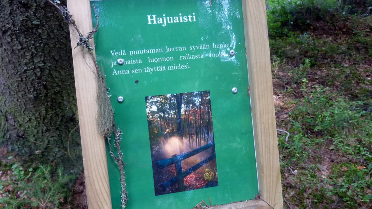 Voimapolun opaskyltti metsässä.