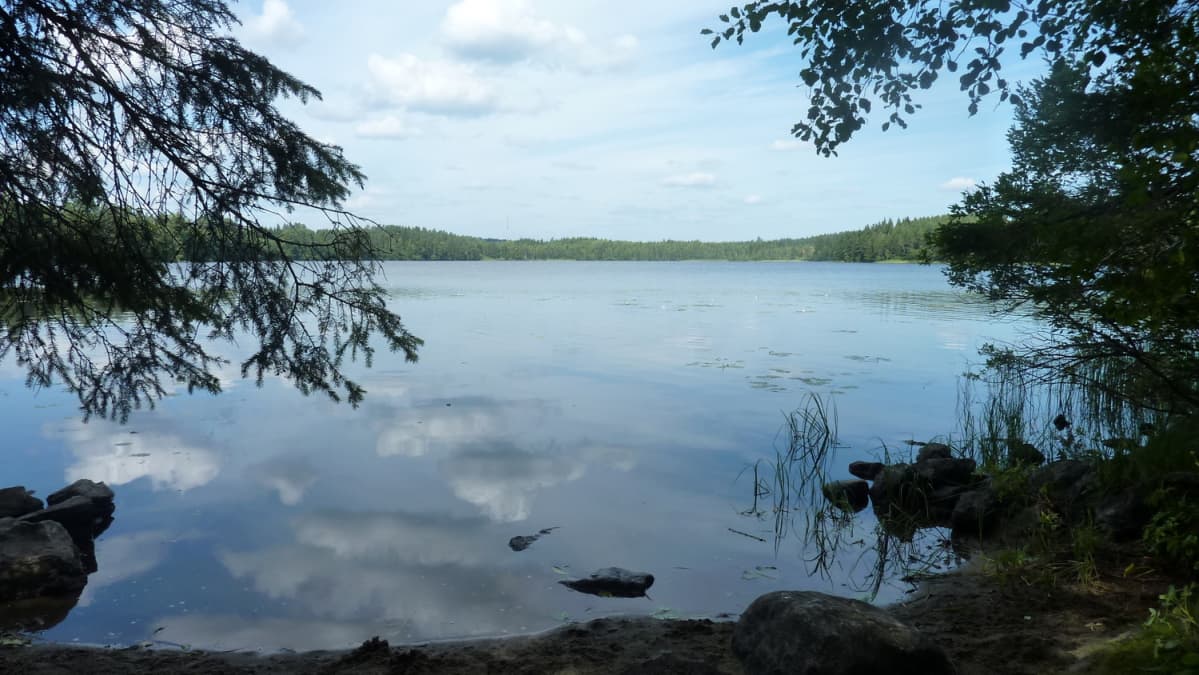 Järvenranta